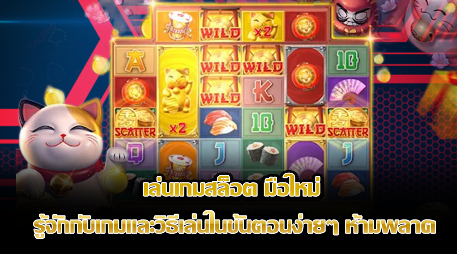 เล่นเกมสล็อต มือใหม่